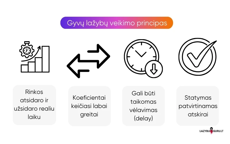 lazybos-gyvai-veikimo-principas lazybos-gyvai-veikimo-principas