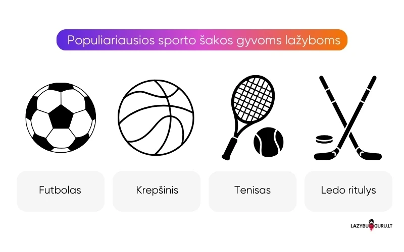 populiariausios-sporto-sakos-lazybos-gyvai populiariausios-sporto-sakos-lazybos-gyvai