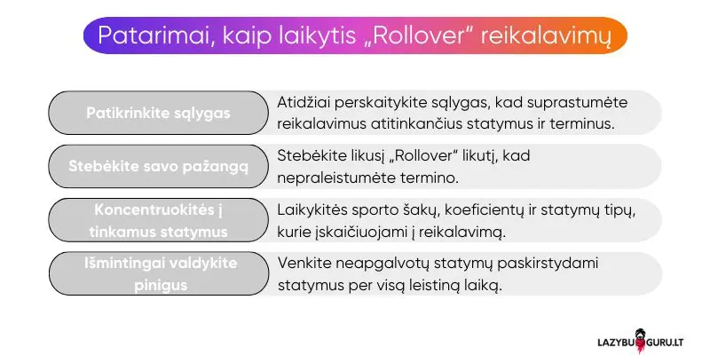 rollover-statymu-reikalavimai