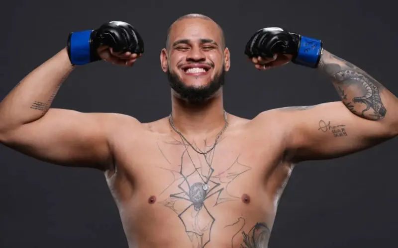 ufc-fight-night-prognoze-lewis-tallison-teixeira