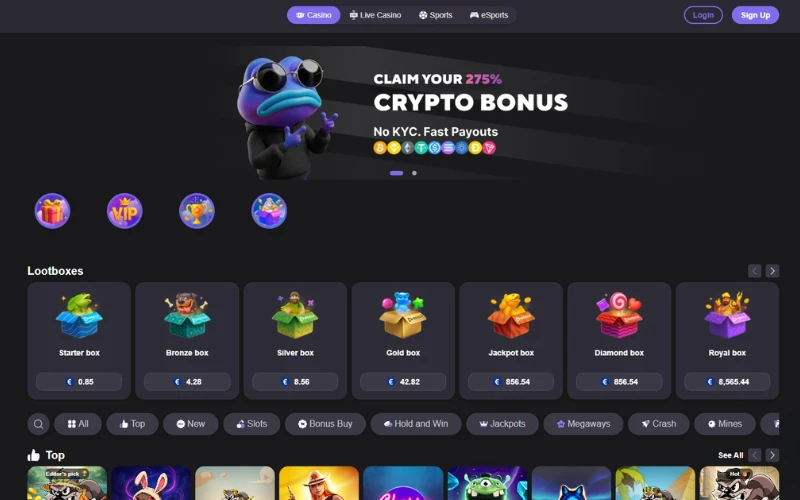 reels.io-platforma reels.io-platforma