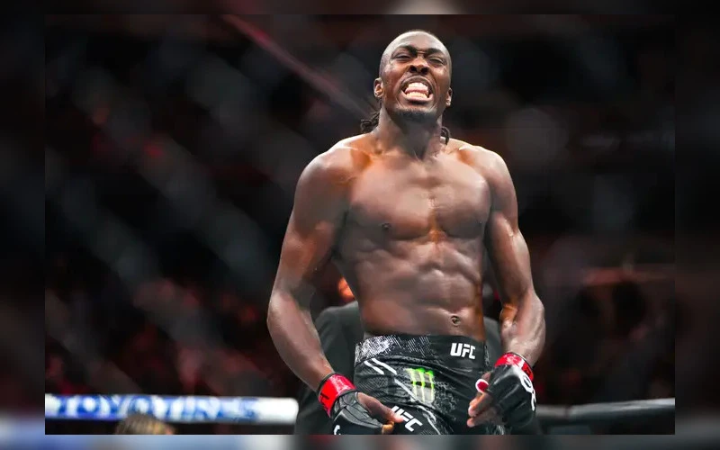 ufc-330-prognozes-islam-makhachev-ian-machado-garry-Jalin-Turner
