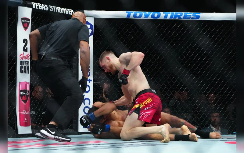 ufc-331-prognozes-joshua-van-pries-alexandre-pantoja-edmen-shahbazyan