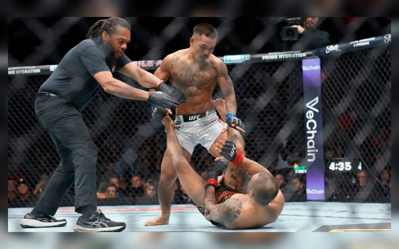 ufc-331-prognozes-joshua-van-pries-alexandre-pantoja